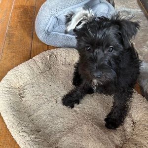 Meet your Posher, Judy